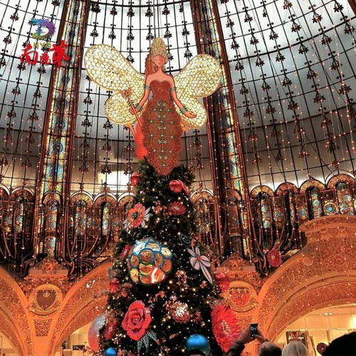 info-730-730 info-730-730